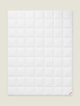 Paradies Celina Medium Warm 100% Goose Down Duvet