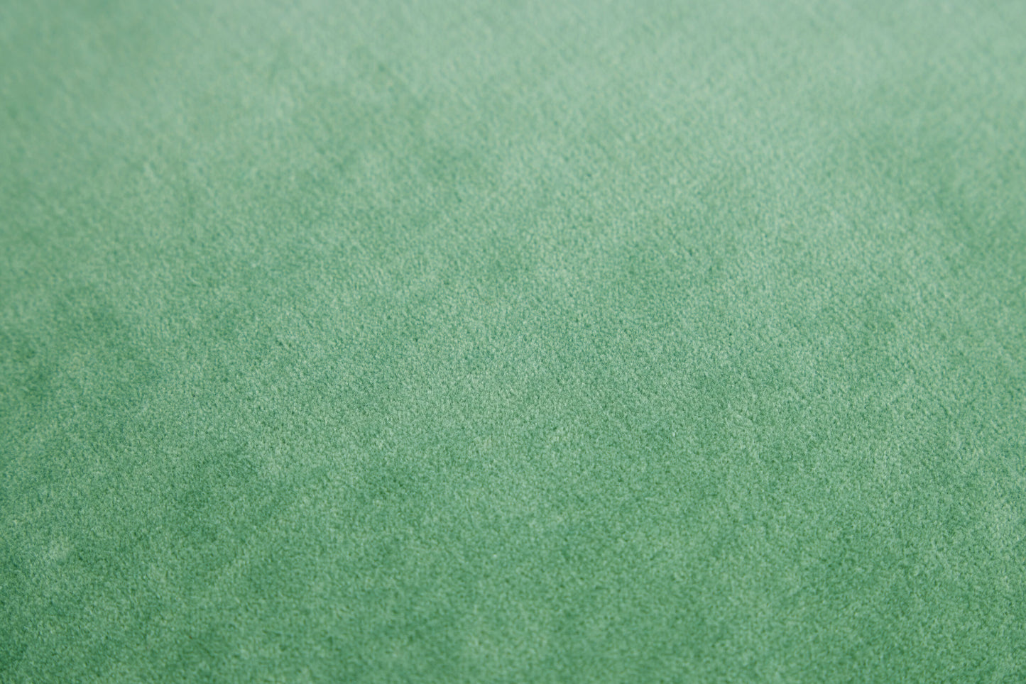 Jaipur Cushion Green / Cushion - 30x50 CM