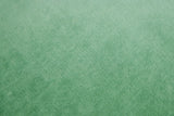 Jaipur Throw Green / Throw - 140x200 CM
