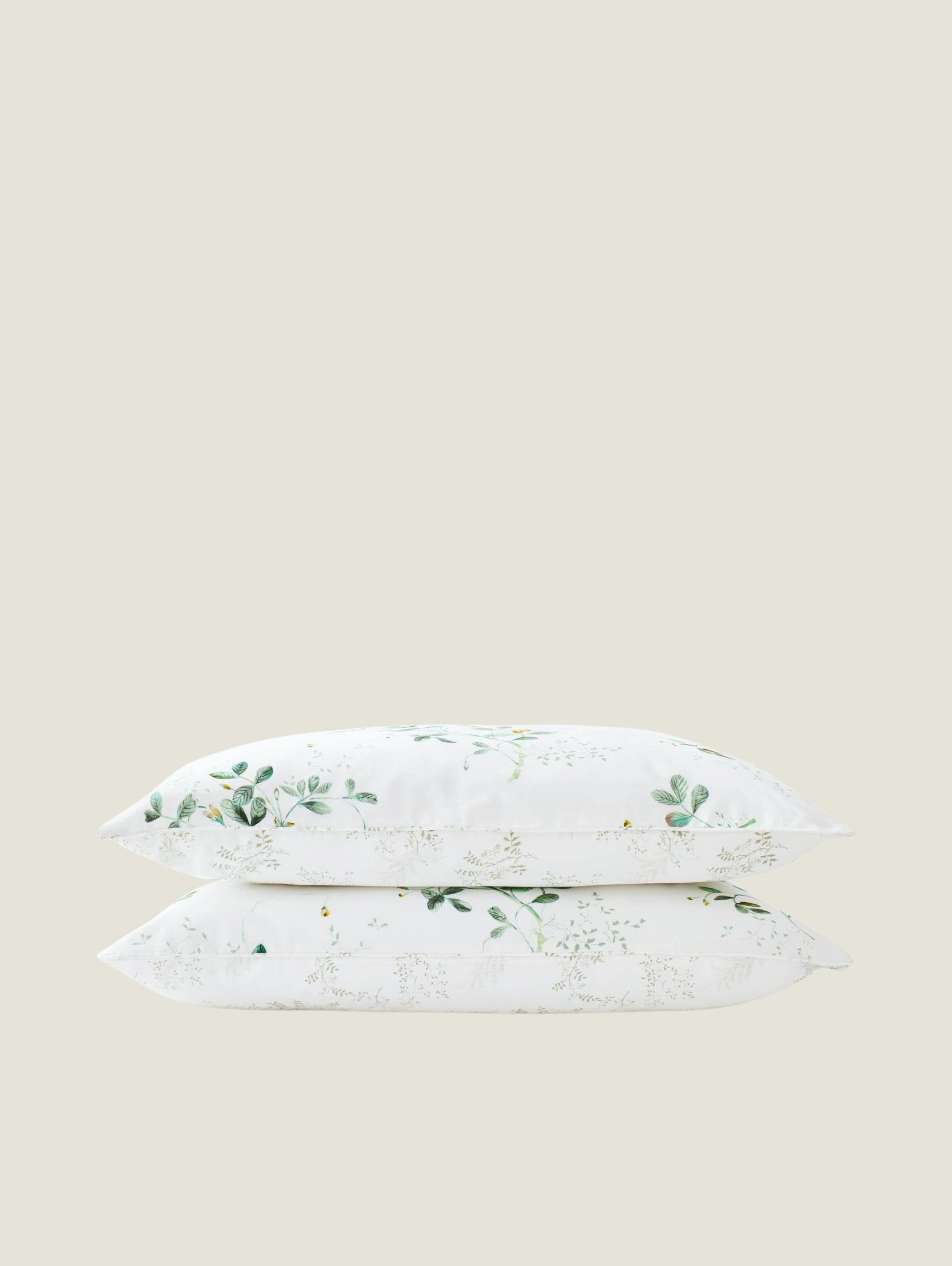 Christy Pea Shoots Pillowcase Pair – Sage Green