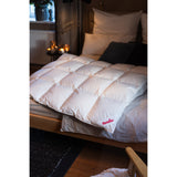 Paradies Alexa Medium Warm Goose Down Duvet