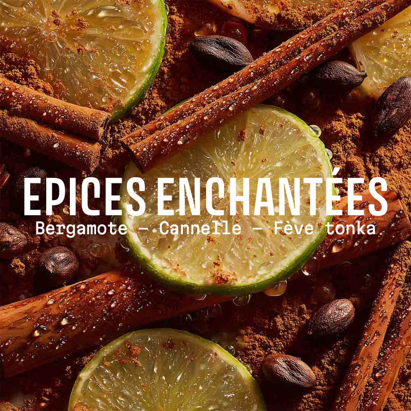 Xmas Extra-Gentle Soap Enchanted Spices 200G