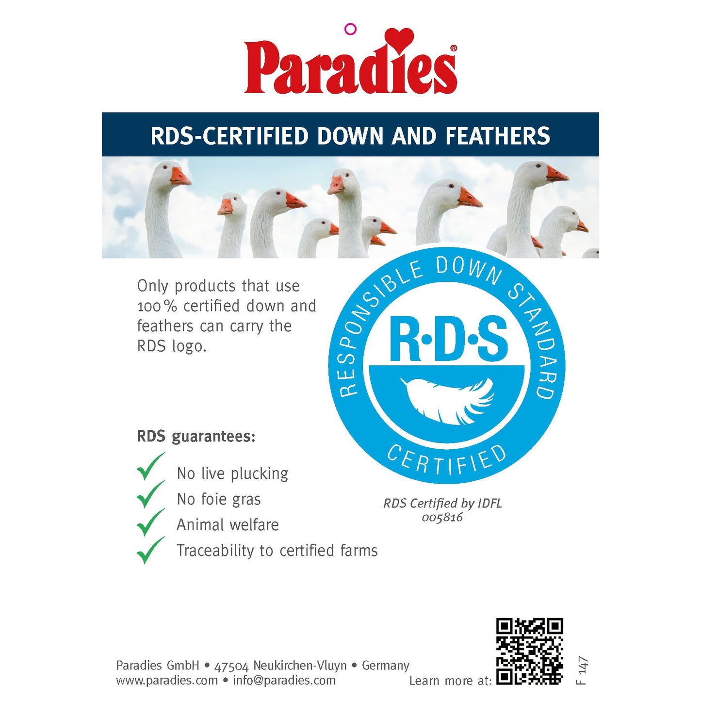 Paradies Malea - Medium Support - Goose Down & Feather Pillow
