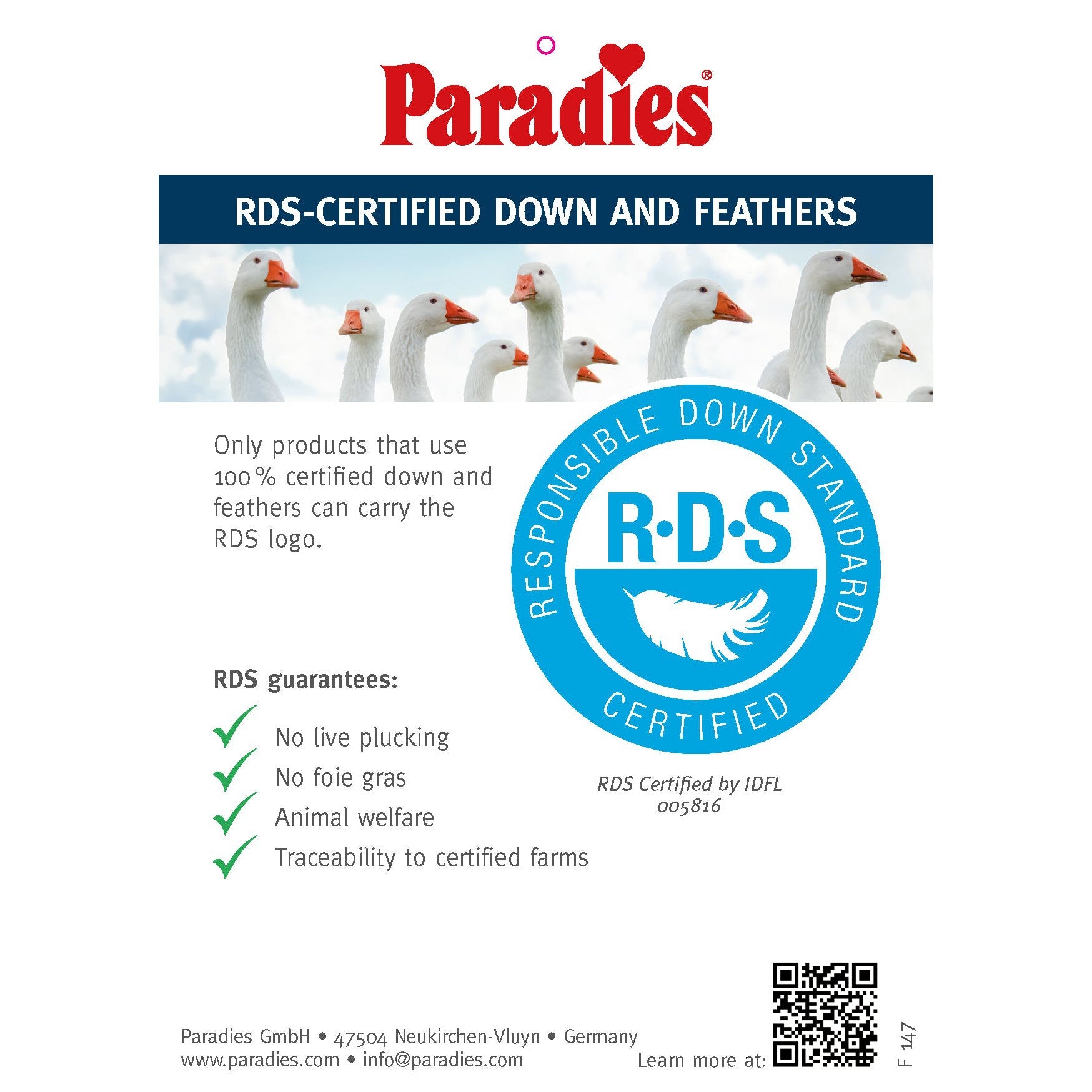 Paradies Malea - Medium Support - Goose Down & Feather Pillow